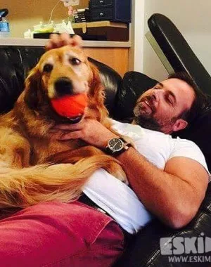 Dr. Kerem Bikmaz 243