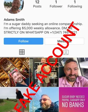 Adam Smith fake account on Instagram 14