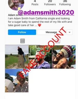 Adam Smith fake account on Instagram 71