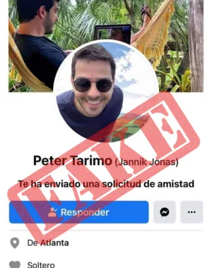 Guilherme Scheibel, fake 2