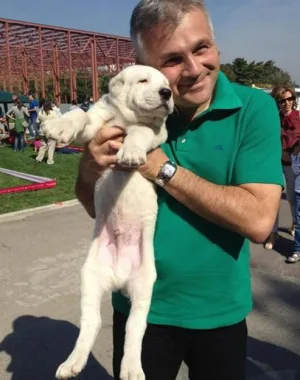 Christian Ciocan 60