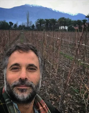 paulo brunetti 159