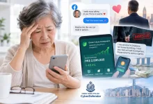71 Year Old Woman Online Romance Scam
